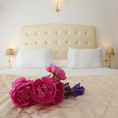 Hotell Casa Rosa *